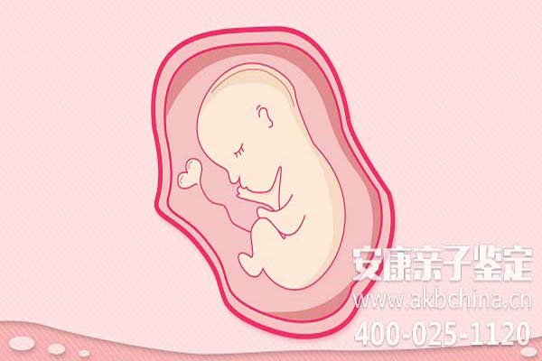 保定怀孕期间做亲子鉴定吗,怀孕如何做亲子鉴定吗 